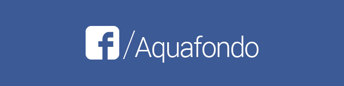 Facebook Aquafondo